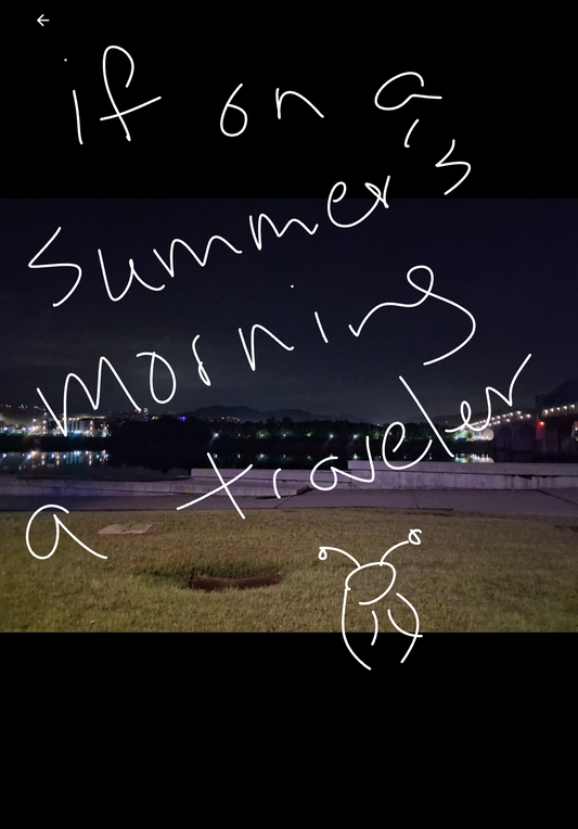 If On A Summer's Morning A Traveler 3